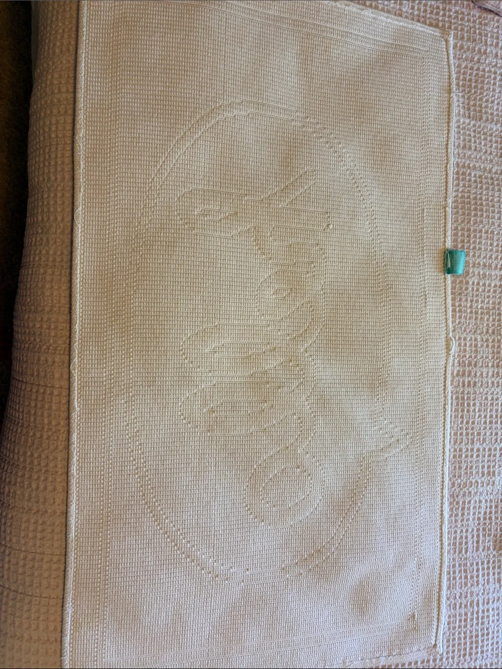 Pillowfort Beige Embossed 